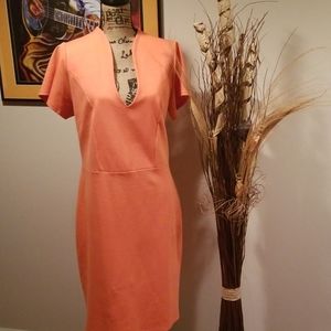 NWOT Ashley Stewart pencil dress